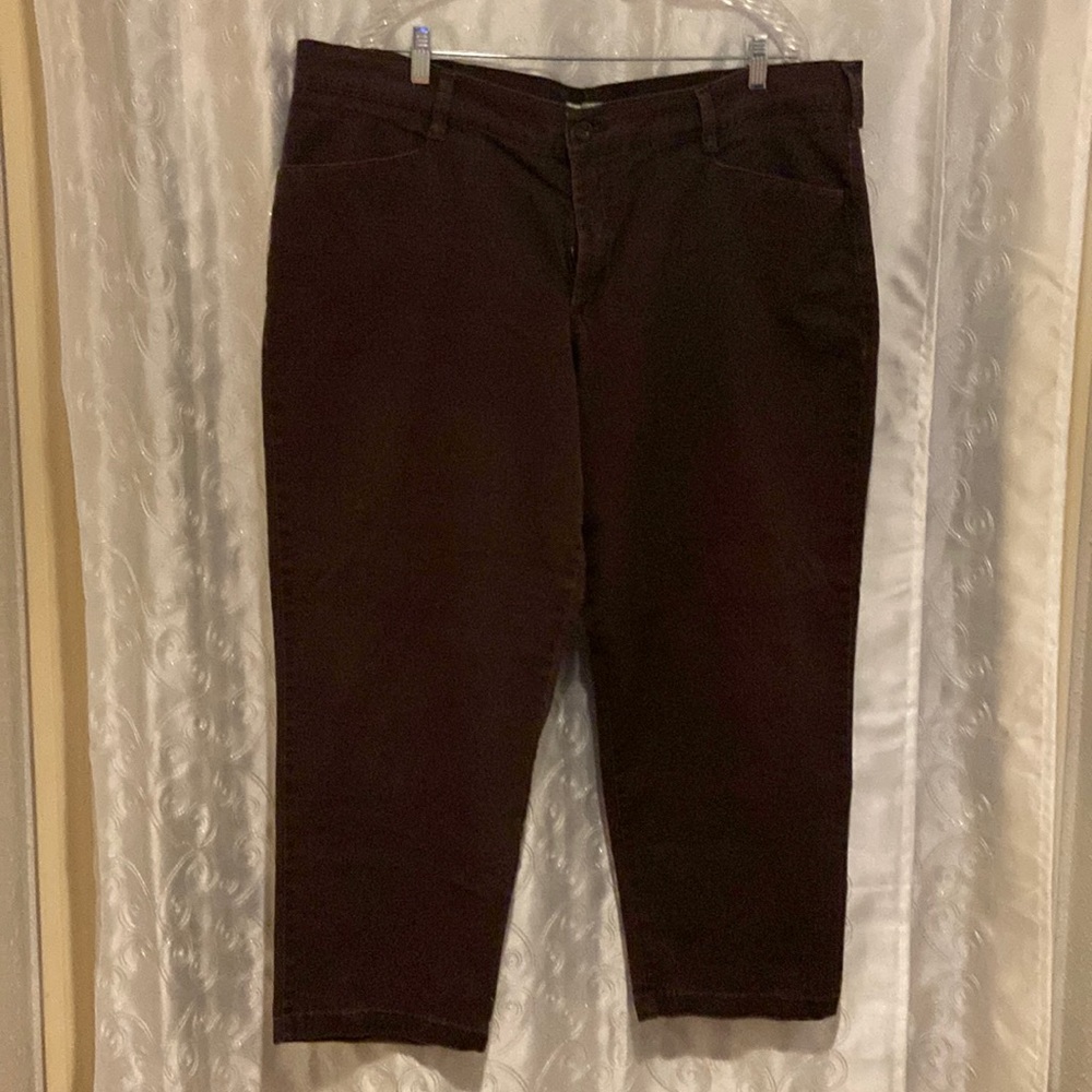 Lee Relaxed Fit at the Waist Brown Pants Women’s Size 22W Petite 💥